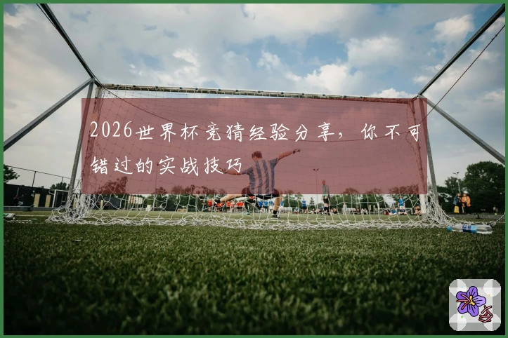 2026世界杯竞猜经验分享，你不可错过的实战技巧