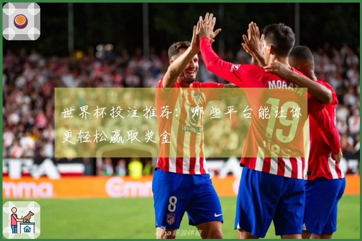 世界杯投注推荐：哪些平台能让你更轻松赢取奖金
